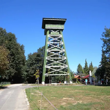 In 20675 * Zalakaros